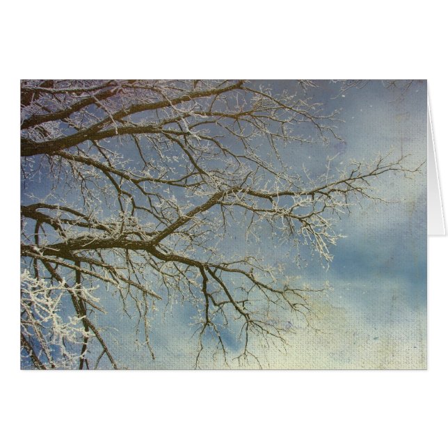 Hoar Frost, Happy New Year! (Vorderseite (Horizontal))