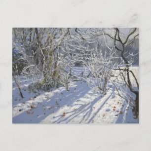 Hoar frost Markeaton Derby.UK.2012 Postkarte