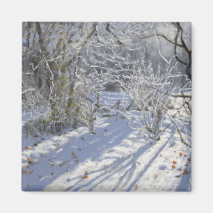 Hoarfrost Markeaton Derby.UK.2012 Magnet