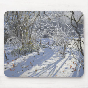 Hoarfrost Markeaton Derby.UK.2012 Mousepad