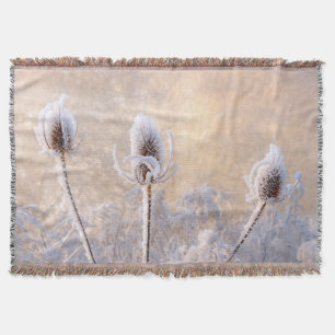 Hoarfrost on Teasa Winter Foto Landschaftlich - Decke