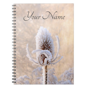 Hoarfrost Teasels Winter Foto Landschaftlicher Nam Notizblock