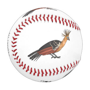 Hoatzin Cartoon Baseball