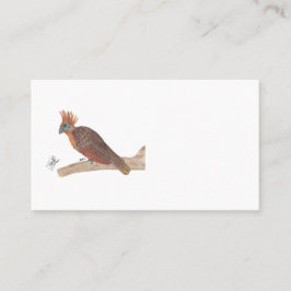 HOATZIN VISITENKARTE