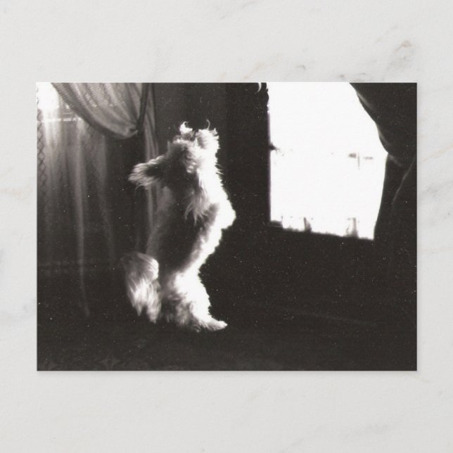 Hobbitt Postcard Postkarte (Vorderseite)