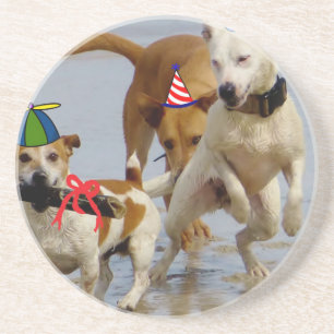 Hobbyhunde Sandstein Untersetzer