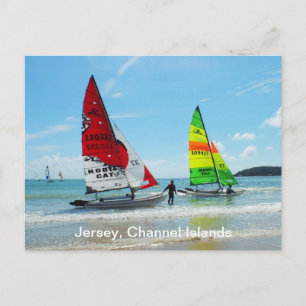 Hobie-Katzen in Jersey Postkarte