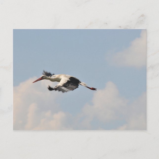 Hoch am Himmel Postkarte (Vorderseite)