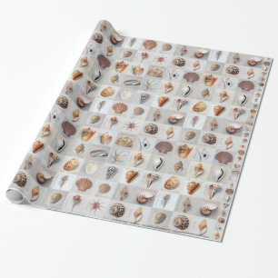 Hoch entwickelte Muscheln Geschenkpapier