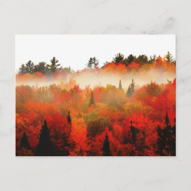 Hoch Gipfel Adirondacks Herbstgebirge Wald Postkarte (Vorderseite)