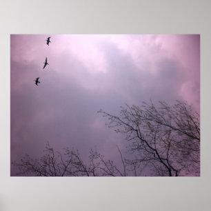 Hoch ist unsere Natur - Toronto Island Sky Poster
