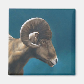 Hoch Magnet