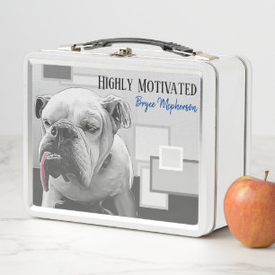 Hoch motivierter, schläfriger Bulldog mit rosa Zun Metall Brotdose