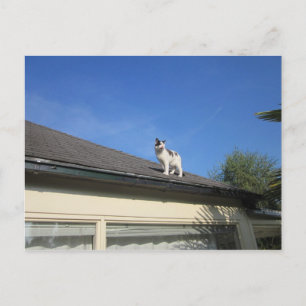 Hoch Postkarte
