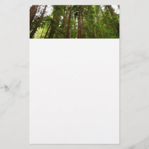 Hoch zu den Redwoods I im Muir Woods National Monu Briefpapier