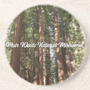 Hoch zu den Redwoods II im Muir Woods National Mon Getränkeuntersetzer