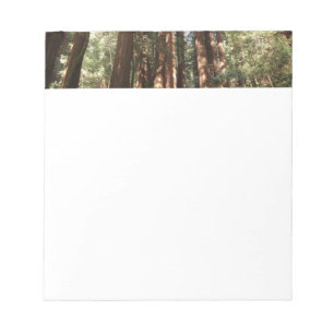 Hoch zu den Redwoods II im Muir Woods National Mon Notizblock
