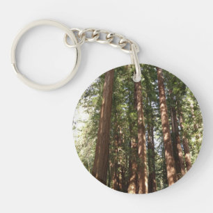 Hoch zu den Redwoods II im Muir Woods National Mon Schlüsselanhänger
