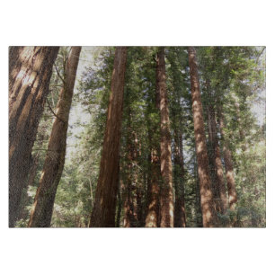 Hoch zu den Redwoods II im Muir Woods National Mon Schneidebrett