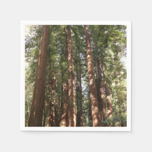 Hoch zu den Redwoods II im Muir Woods National Mon Serviette