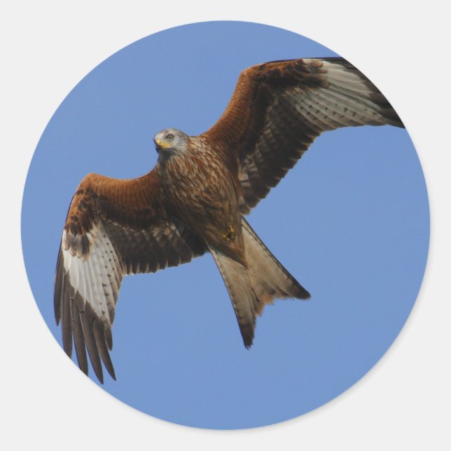 Hochfliegender roter Drachen Runder Aufkleber (Vorderseite)