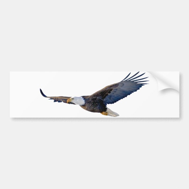 Hochfliegender Weißkopfseeadler Autoaufkleber (Vorne)
