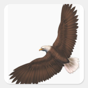 Hochfliegender Weißkopfseeadler Quadratischer Aufkleber