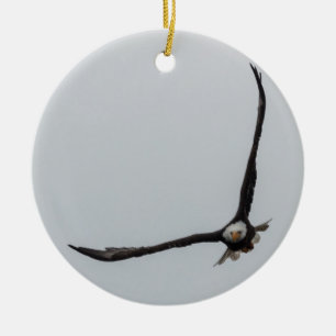 Hochfliegender Weißkopfseeadler-Vogel-Flug-schön Keramik Ornament