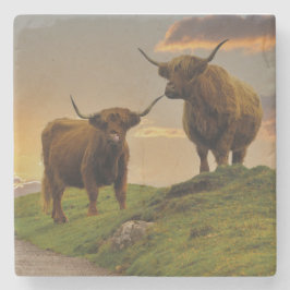 Hochkühe bei Sonnenuntergang Steinuntersetzer