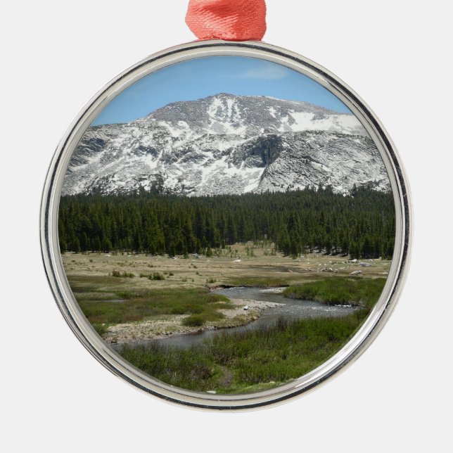 Hochland-Bergstrom I Ornament Aus Metall (Vorne)