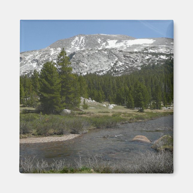 Hochland-Hochgebirge II bei Yosemite Magnet (Vorne)