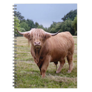 Hochland-Kuh-Notizbuch Notizblock
