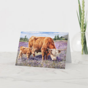 Hochland-Kuh und Kalb Lila Wildblumen Karte