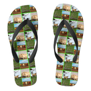 Hochland-Kühe-FotoCollage, Flip Flops