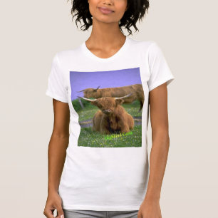 Hochland-Vieh T - Shirt