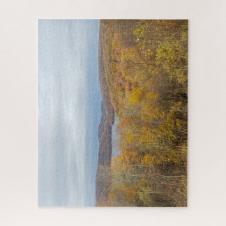 Hochländer in herbstlicher Farbgebung