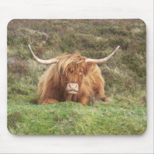 Hochlandkuh auf Dartmoor Mousepad