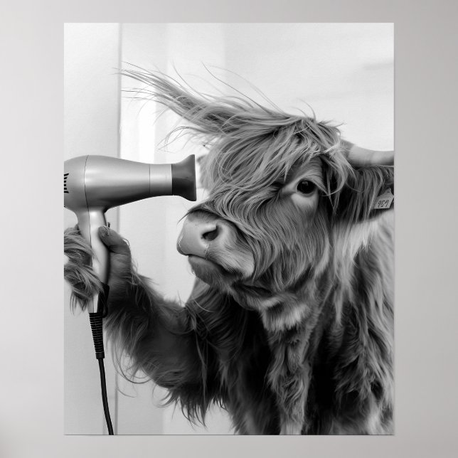 Hochlandkuh, die Haarstyling macht, Vorbereitung Poster (Vorne)
