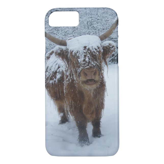 Hochlandkuh im Fall Snow iPhone Case-Mate iPhone Hülle (Rückseite)