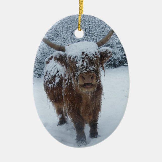 Hochlandkuh im Schnee-Keramik-Ornament Keramik Ornament (Vorne)