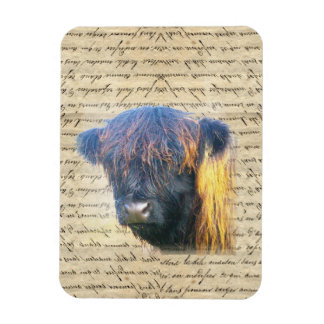 Hochlandkuh Magnet