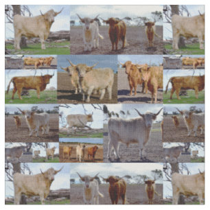 Hochlandkühe in einer FotoCollage, Stoff