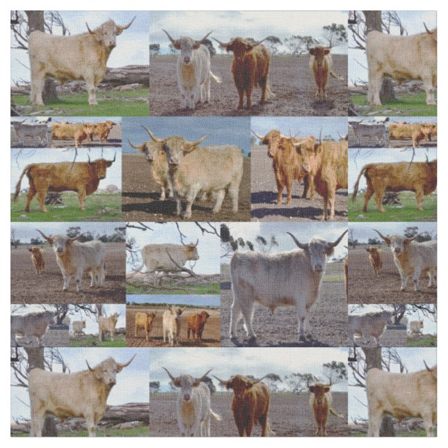 Hochlandkühe in einer FotoCollage, Stoff (Nahaufnahme)