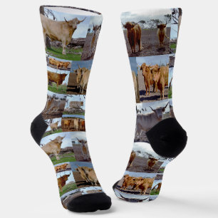 Hochlandkuhfoto-Collage, Crew Socken