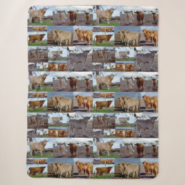 Hochlandkuhfoto Collage, Großer Sherpa-Decken Sherpadecke