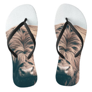 Hochlandkuhportrait Flip Flops