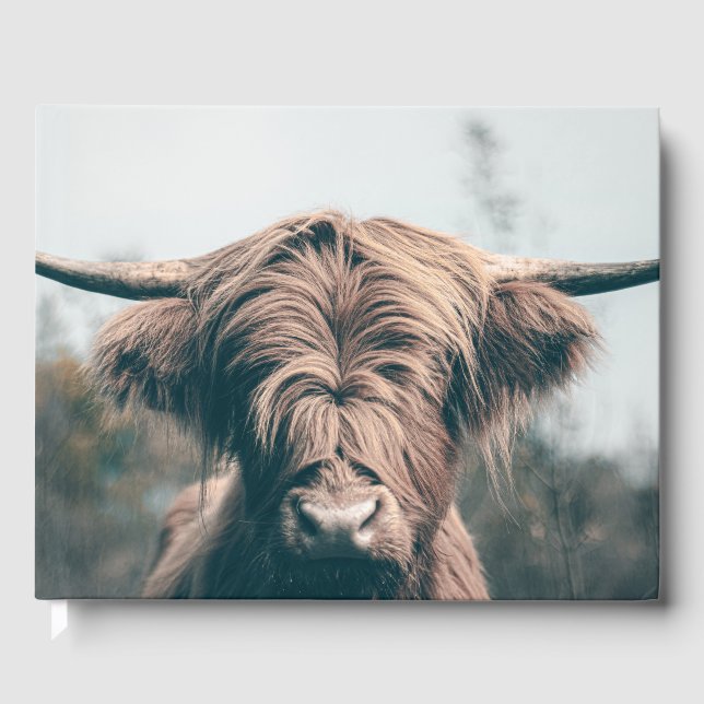 Hochlandkuhportrait Gästebuch (Vorderseite)