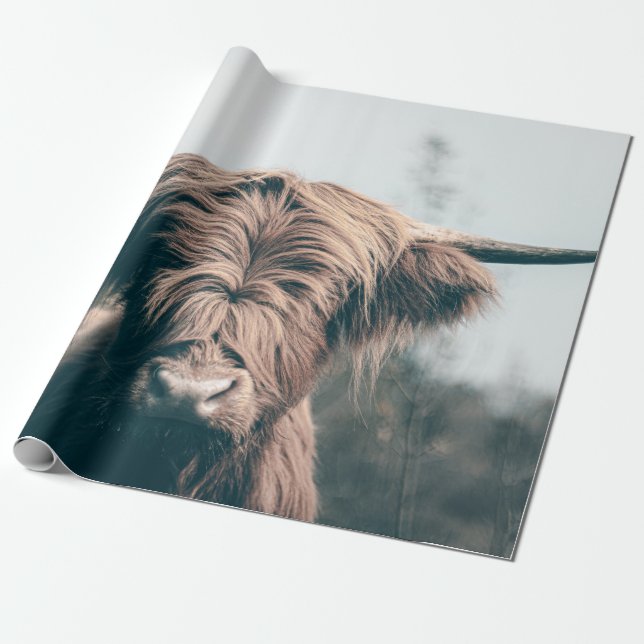 Hochlandkuhportrait Geschenkpapier (Ungerollt)