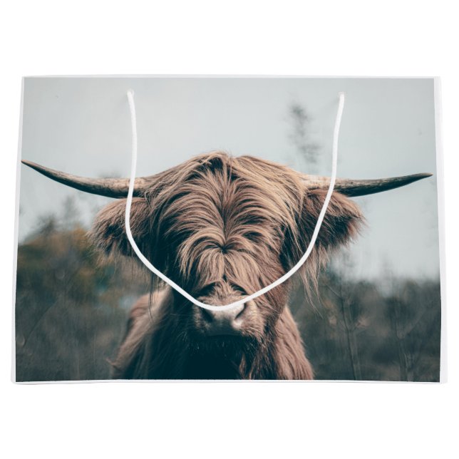 Hochlandkuhportrait Große Geschenktüte (Vorderseite)