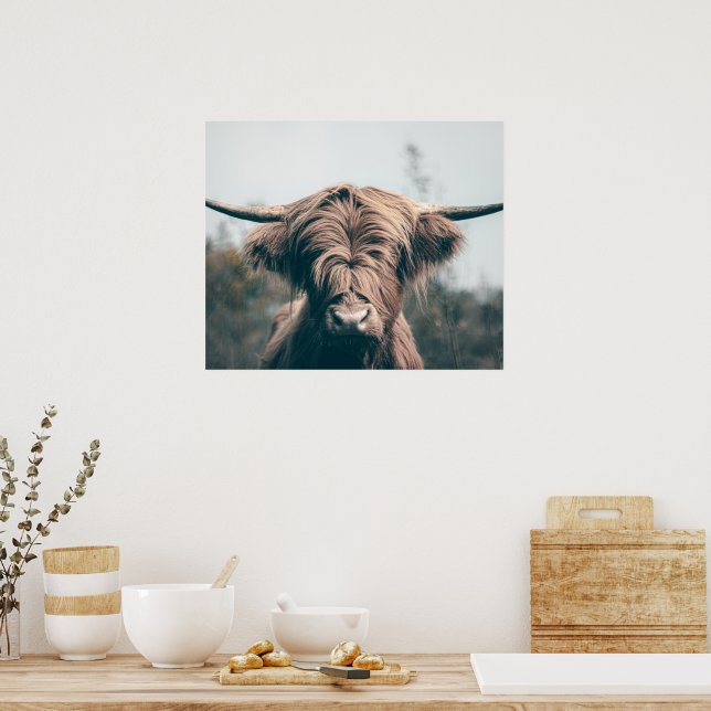 Hochlandkuhportrait Poster (Küche)